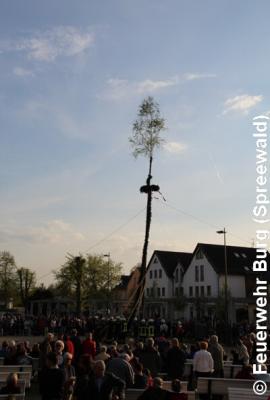 Foto des Albums: Maibaum aufstellen