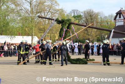 Foto des Albums: Maibaum aufstellen