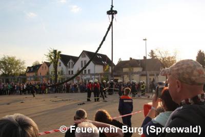 Foto des Albums: Maibaum aufstellen