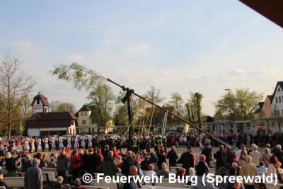 Foto des Albums: Maibaum aufstellen