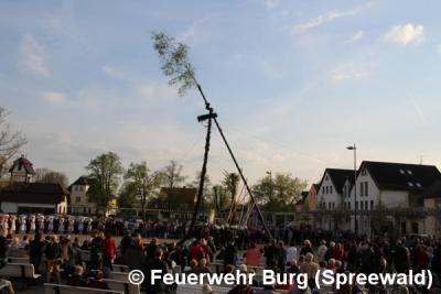 Foto des Albums: Maibaum aufstellen