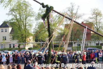 Foto des Albums: Maibaum aufstellen