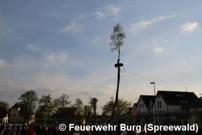 Foto des Albums: Maibaum aufstellen