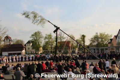 Foto des Albums: Maibaum aufstellen