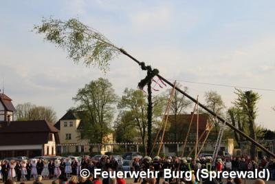 Foto des Albums: Maibaum aufstellen