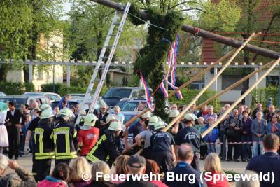 Foto des Albums: Maibaum aufstellen