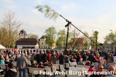 Foto des Albums: Maibaum aufstellen