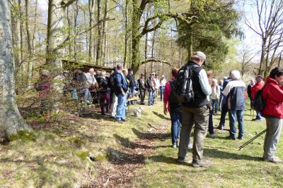 Rast an der Geisebornh&uuml;tte; Infos zu Fauna und Flora im Miehlener Becken  (Bild vergr&ouml;&szlig;ern)