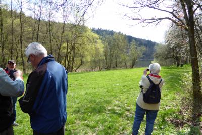 Der Hauserbachsee bietet immer wieder neue Fotomotive. Allj&auml;hrlich zieht hier auch das Fischerfest v  (Bild vergr&ouml;&szlig;ern)