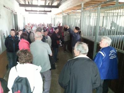 Stallungen mit Sattelkammer und Pferdesolarium  (Bild vergr&ouml;&szlig;ern)