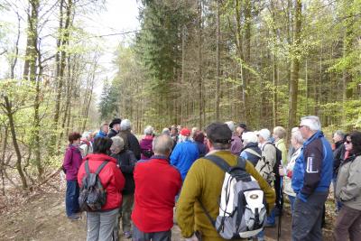 Foto des Albums: 70 Wanderer starteten am 3 KR in die Saison 2016 , Strecke Pohl - Bettendorf - Hauserbachsee bot vielfältige Rück-, Aus- und Einblicke