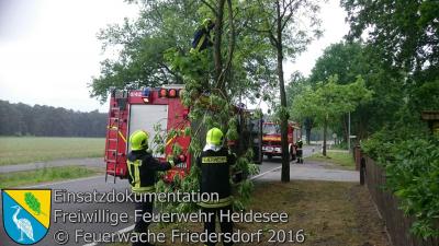 Vorschaubild: Einsatz 25/2016 Ast droht zu stürzen | Friedersdorf Berliner Straße Siedlung