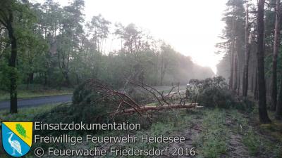 Vorschaubild: Einsatz 21/2016 mehrere Bäume auf Radweg | L40 OV Friedersdorf - Bindow