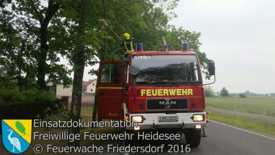 Vorschaubild: Einsatz 25/2016 Ast droht zu stürzen | Friedersdorf Berliner Straße Siedlung