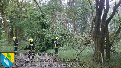 Vorschaubild: Einsatz 27/2016  Bäume auf Straße | Bindow Blossiner Stieg