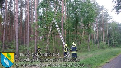 Vorschaubild: Einsatz 26/2016 Baum droht zu stürzen | L39 OV Friedersdorf - Bindow