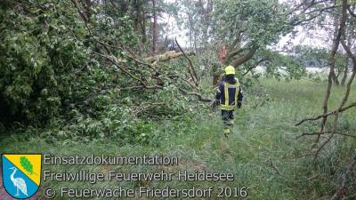 Vorschaubild: Einsatz 27/2016  Bäume auf Straße | Bindow Blossiner Stieg