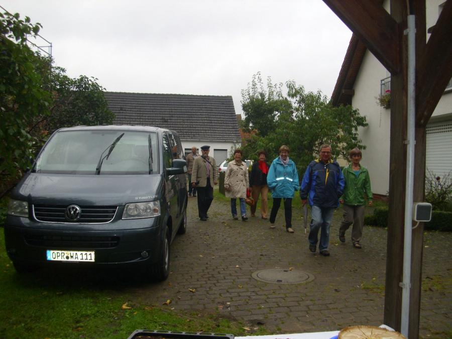 Bild der Galerie