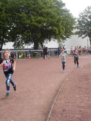 Foto des Albums: Sportfest 2016