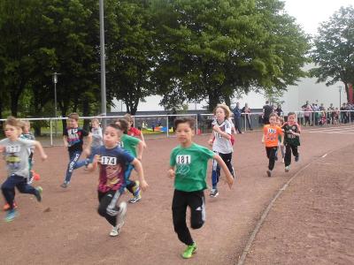 Foto des Albums: Sportfest 2016