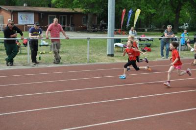 Foto des Albums: Kreissportspiele Eggesin