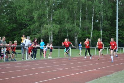 Foto des Albums: Kreissportspiele Eggesin