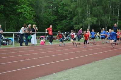 Foto des Albums: Kreissportspiele Eggesin