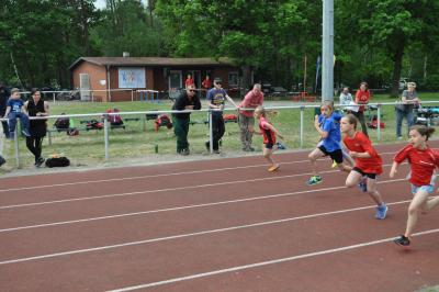 Foto des Albums: Kreissportspiele Eggesin