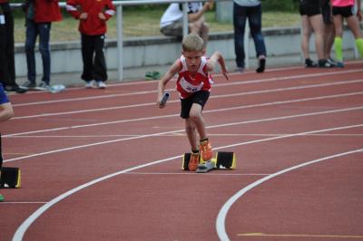 Foto des Albums: Ostseepokal Rostock