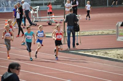 Foto des Albums: Ostseepokal Rostock