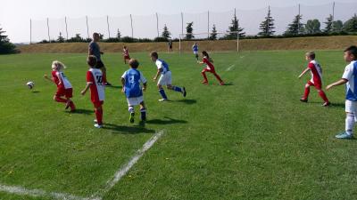 Foto des Albums: F-Jugend Turnier, 04.06.2016