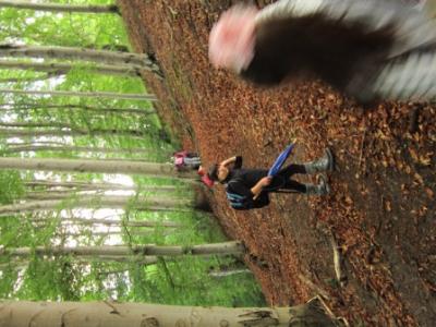 Im Wald 