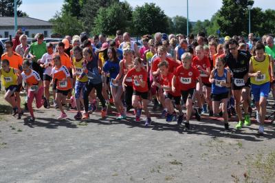 Foto des Albums: Schwedter Polderlauf