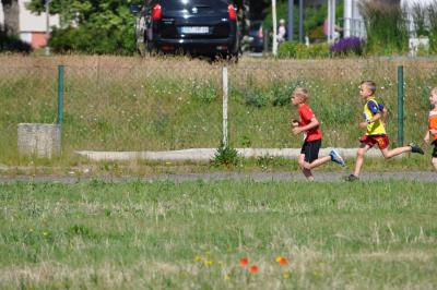 Foto des Albums: Schwedter Polderlauf
