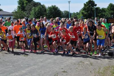 Foto des Albums: Schwedter Polderlauf