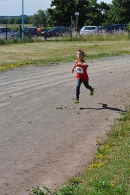 Foto des Albums: Schwedter Polderlauf