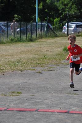 Foto des Albums: Schwedter Polderlauf