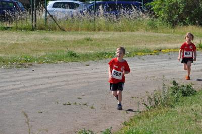 Foto des Albums: Schwedter Polderlauf