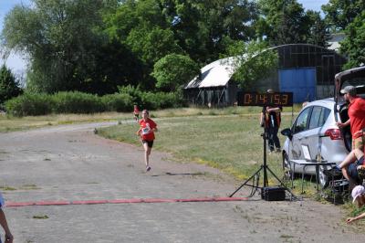 Foto des Albums: Schwedter Polderlauf