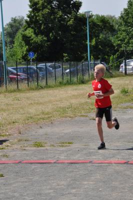Foto des Albums: Schwedter Polderlauf