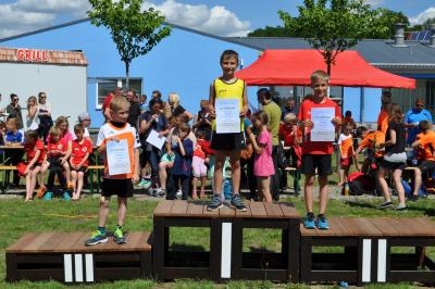Foto des Albums: Schwedter Polderlauf