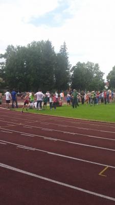 Foto des Albums: LM Königs Wusterhausen U 14
