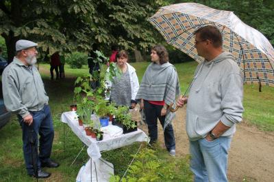 Foto des Albums: Stadtfest 2016 (02. 07. 2016)