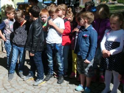 Foto des Albums: Abschlussfeier der Dinos und Pinguine