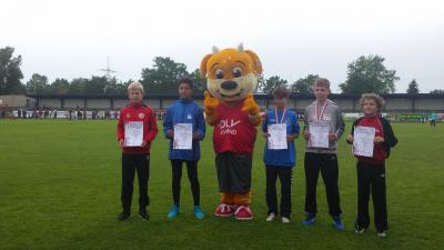 Foto des Albums: Landessportspiele