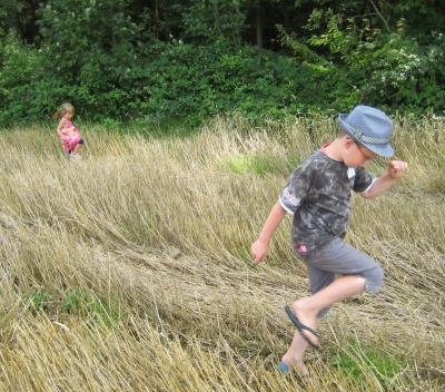 am Waldrand wure gesucht. 