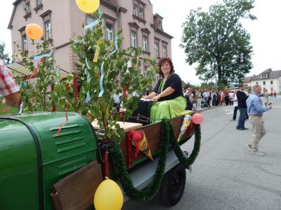 Foto des Albums: Schuleingang 2016