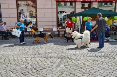 Foto des Albums: 9. Perleberger Familientag