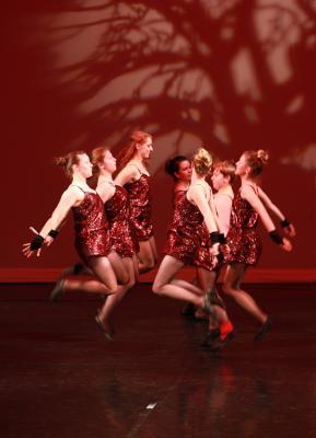 Foto des Albums: Tanzgala 2016