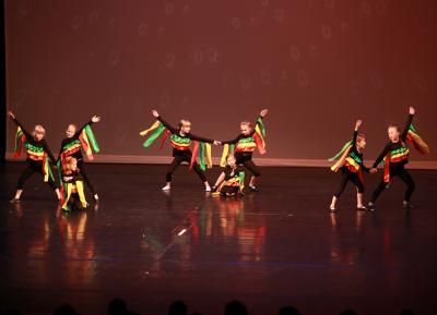 Foto des Albums: Tanzgala 2016
